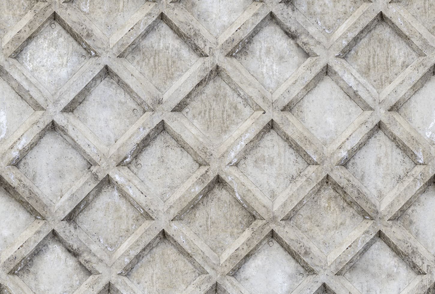 Rebel Walls pilttapeet Concrete Trellis R12781