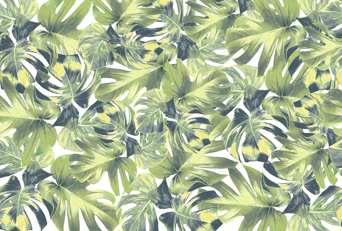 Rebel Walls pilttapeet Welcome To The Jungle R13041