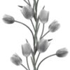 Rebel Walls pilttapeet La Vie En Tulipe, White R13062