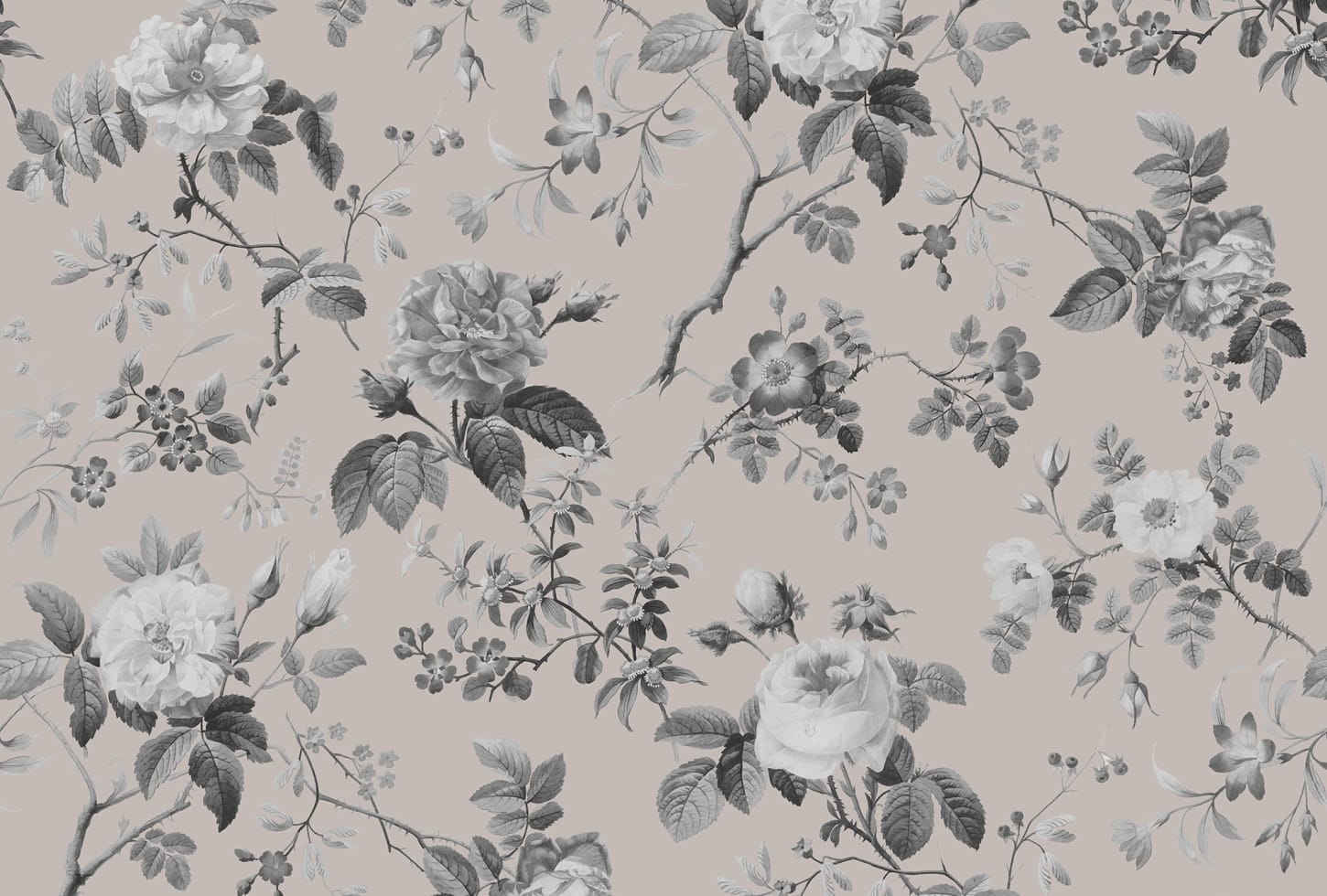 Rebel Walls pilttapeet Thorn Rose, Early Rise R13075