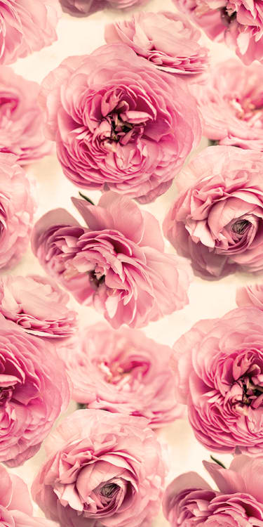 Rebel Walls pilttapeet Summer Wind R13091