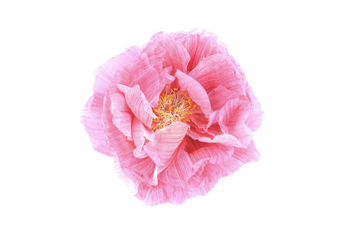 Rebel Walls pilttapeet Poppy Art R13161