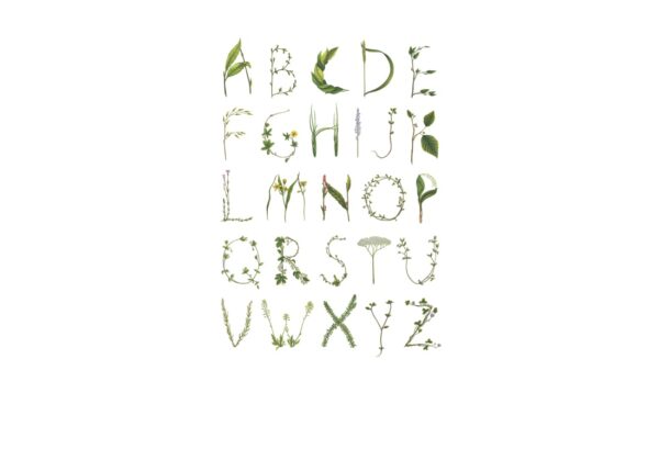 Rebel Walls pilttapeet Abc For The Spelling Bee R13191