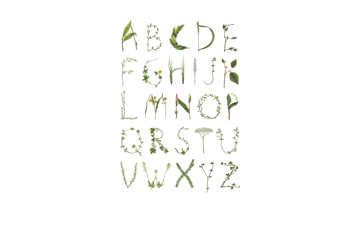 Rebel Walls pilttapeet Abc For The Spelling Bee R13191