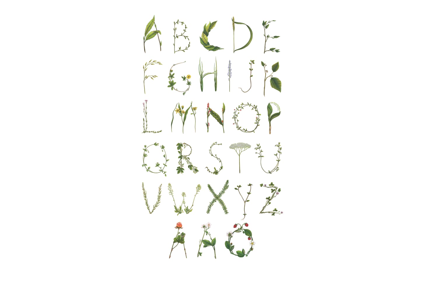 Rebel Walls pilttapeet Abc For The Spelling Bee In Swedish R13193