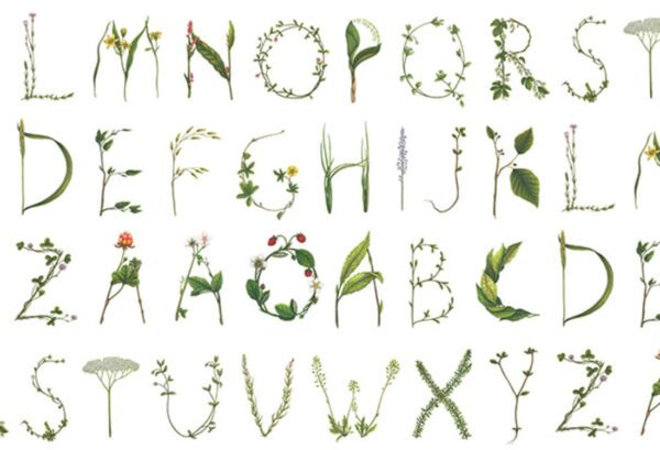 Rebel Walls pilttapeet Floral Alphabet R13195