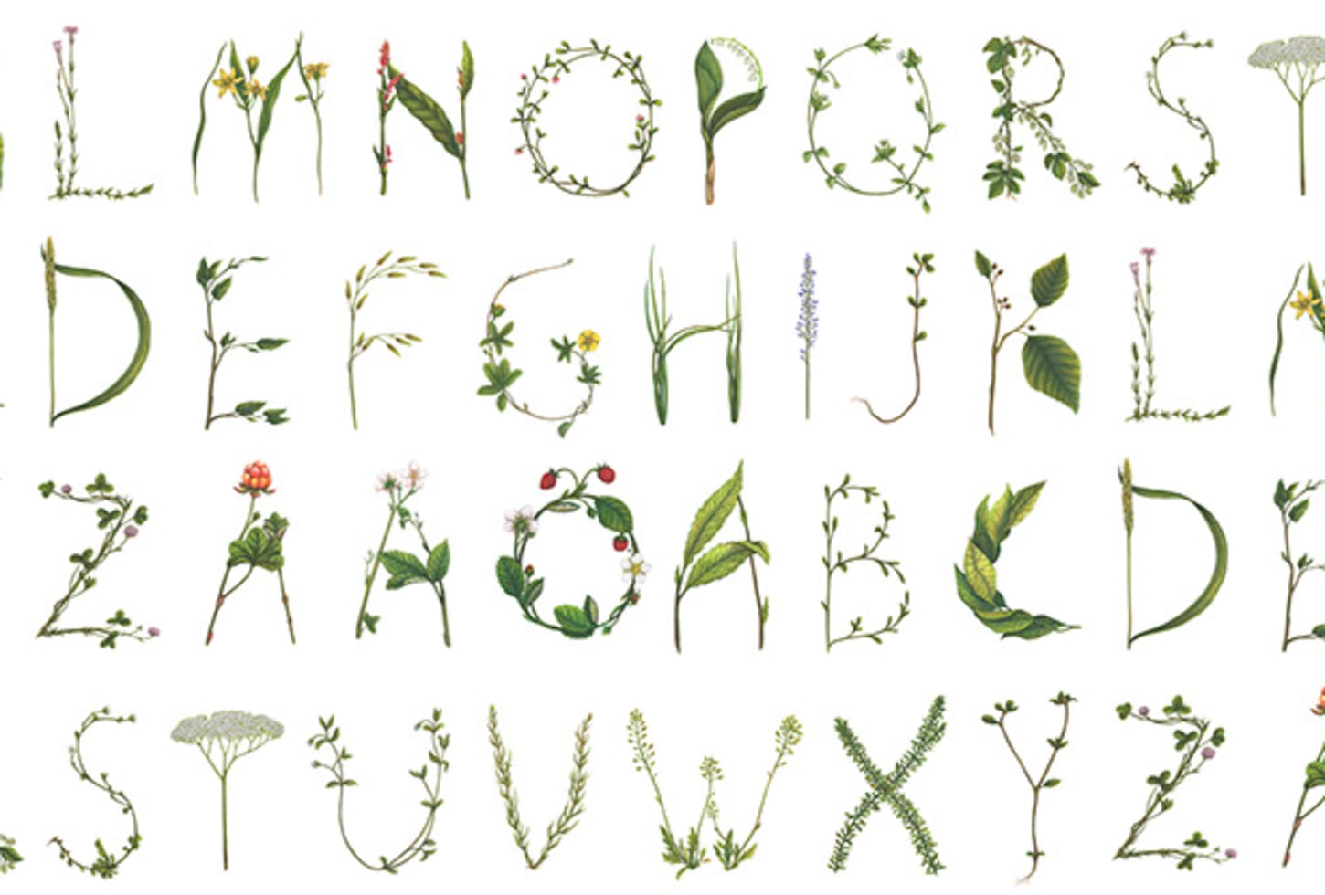 Rebel Walls pilttapeet Floral Alphabet R13195