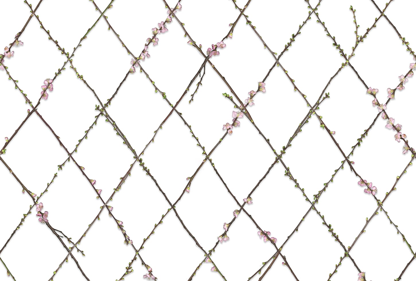 Rebel Walls pilttapeet Winding Spring R13221