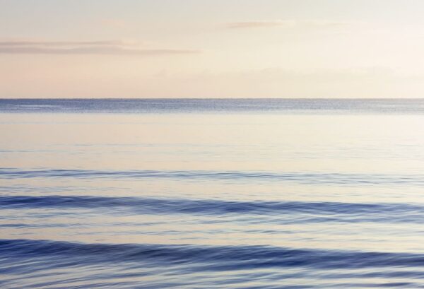 Rebel Walls pilttapeet Graceful Sea R13311