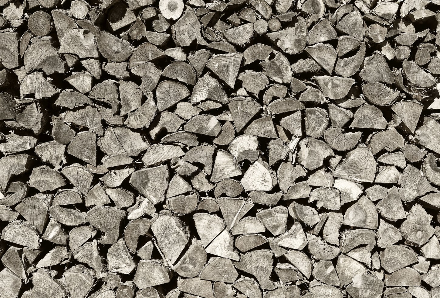 Rebel Walls pilttapeet Woodpile R13641
