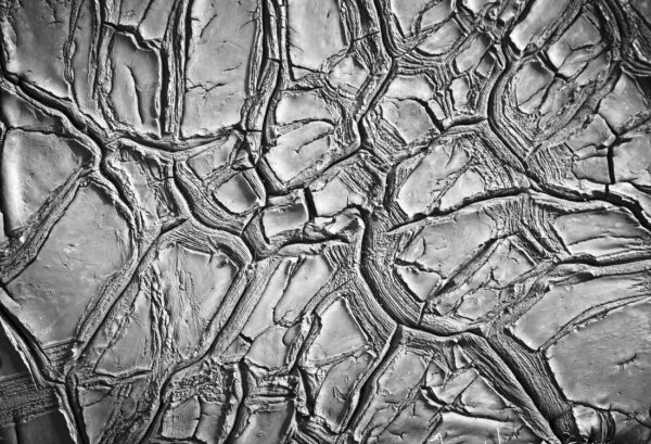 Rebel Walls pilttapeet Dried Clay R13651