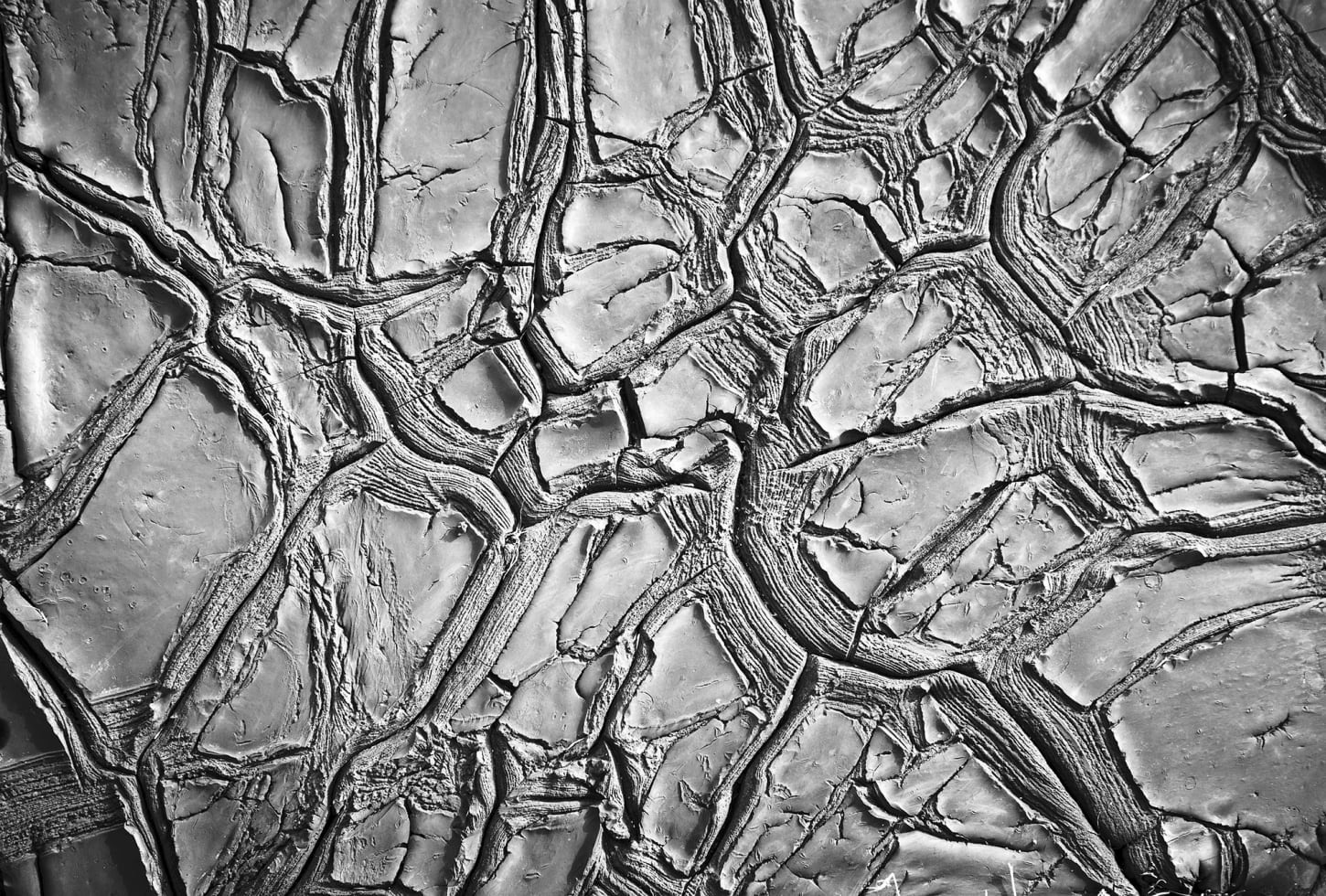 Rebel Walls pilttapeet Dried Clay R13651