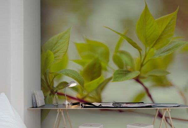 Rebel Walls pilttapeet Green Leaves R13661