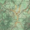Rebel Walls pilttapeet Woodland R13771