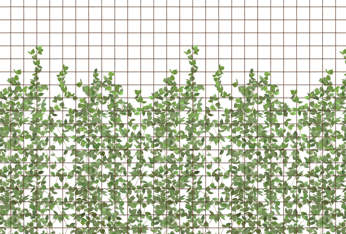 Rebel Walls pilttapeet Climbing Clorofyl R13993