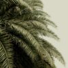 Rebel Walls pilttapeet Leaf Love R14001