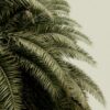 Rebel Walls pilttapeet Leaf Love R14001