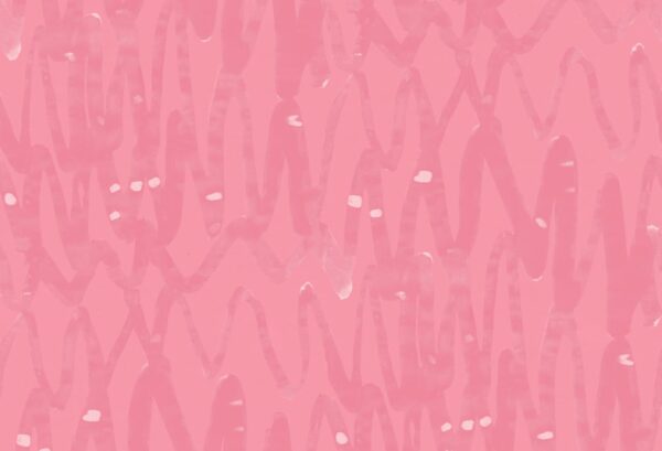 Rebel Walls pilttapeet Pulse Of Passion, Pink R14095