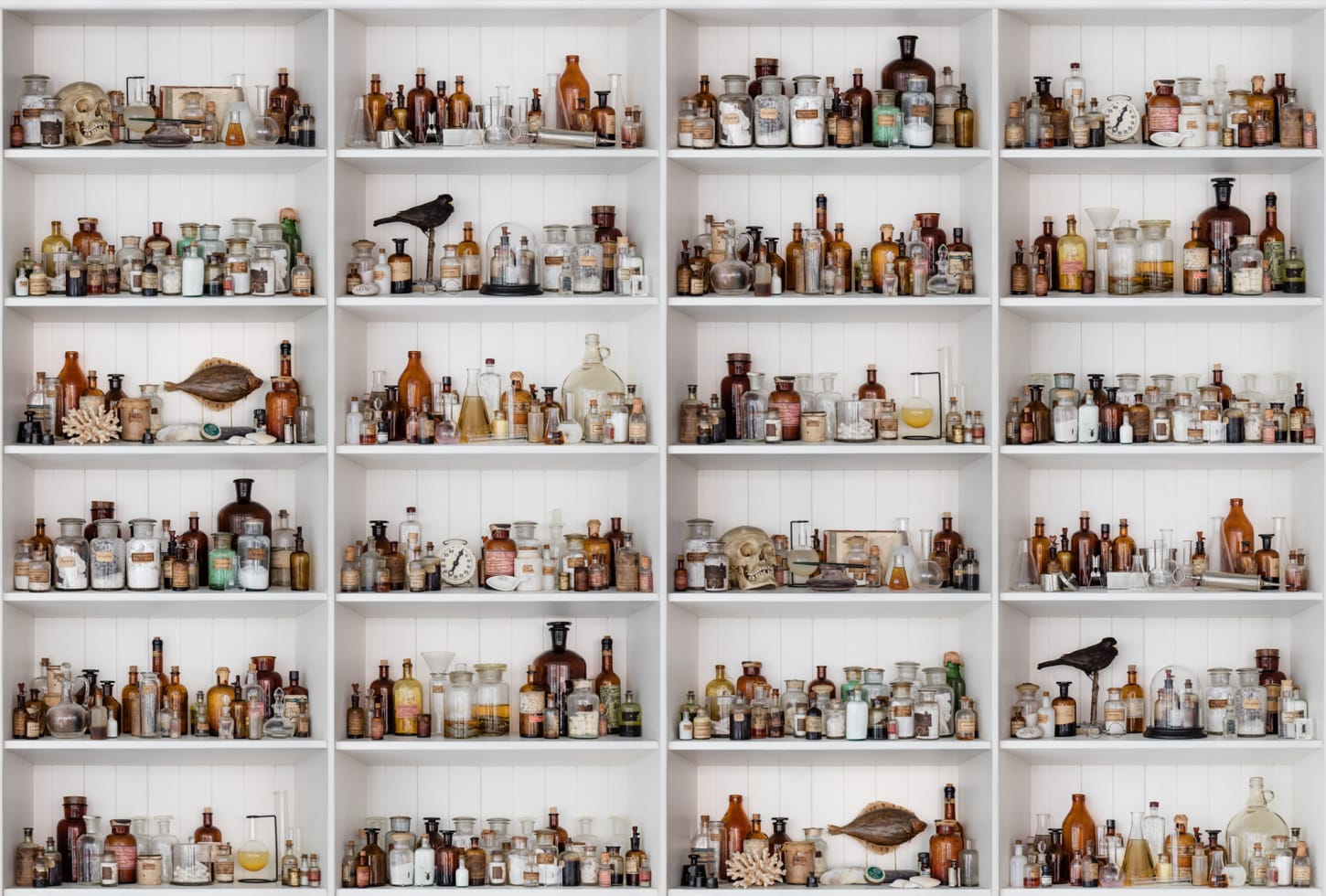 Rebel Walls pilttapeet Cabinet Of Curios R14181