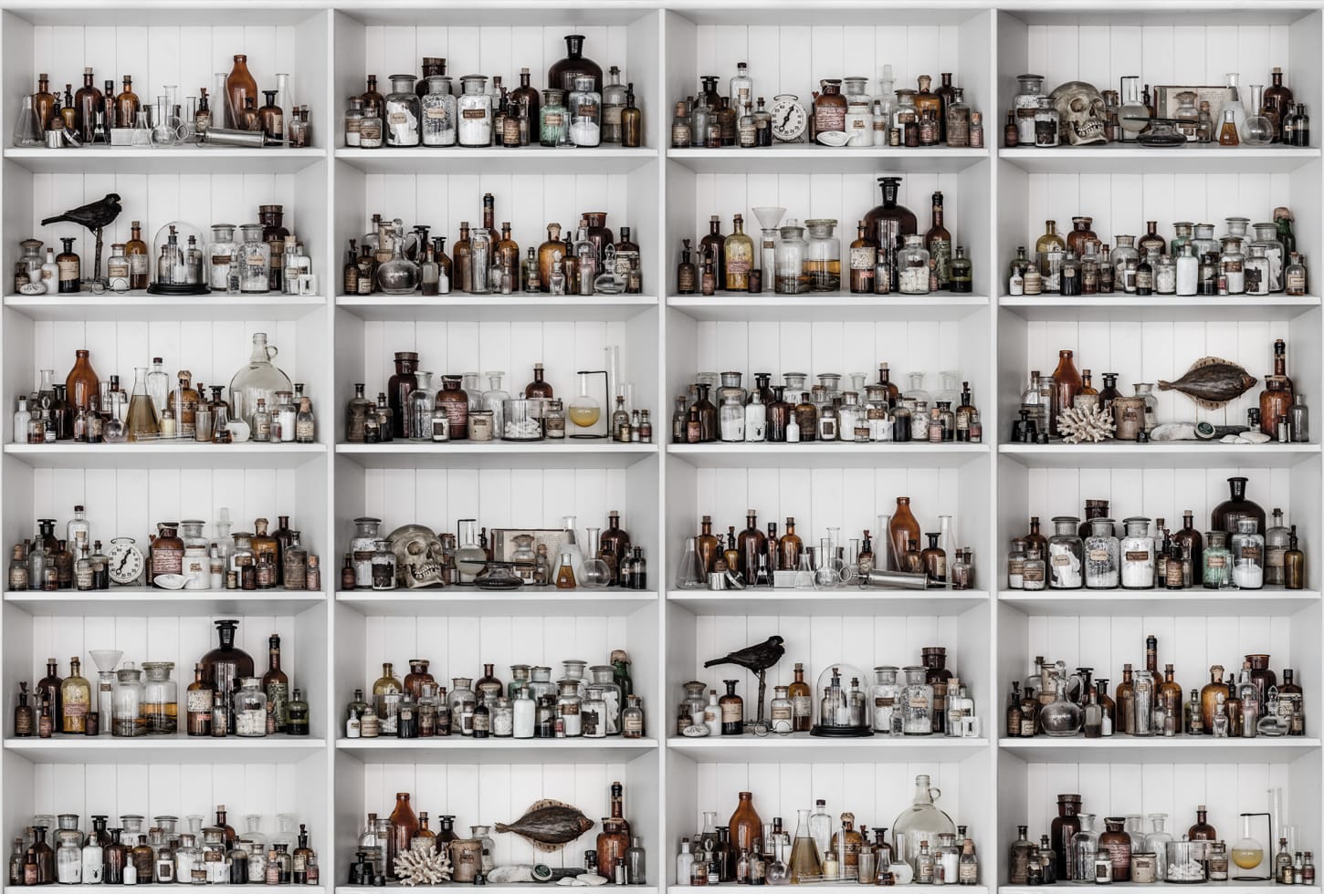 Rebel Walls pilttapeet Cabinet Of Curios, Raw R14182