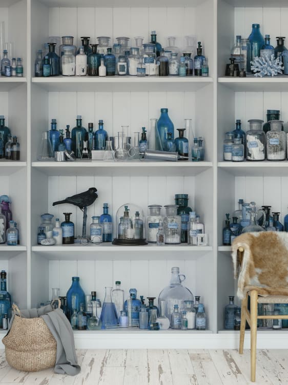 Rebel Walls pilttapeet Cabinet Of Curios, Sapphire R14183