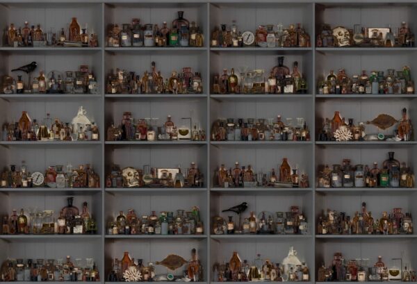 Rebel Walls pilttapeet Cabinet Of Curios, Night R14184