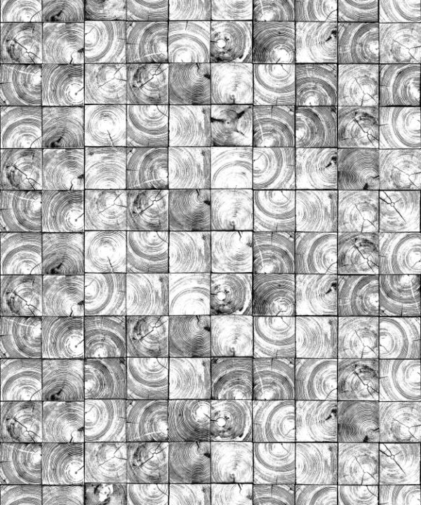 Rebel Walls pilttapeet Age Rings R14241