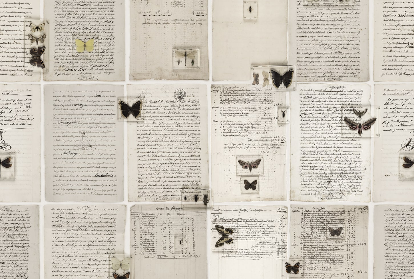 Rebel Walls pilttapeet The Butterfly Library R14251