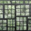 Rebel Walls pilttapeet Perspective Jardin, Noir R14372