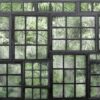 Rebel Walls pilttapeet Perspective Jardin, Noir R14372