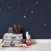 Rebel Walls pilttapeet Stargazing R14571