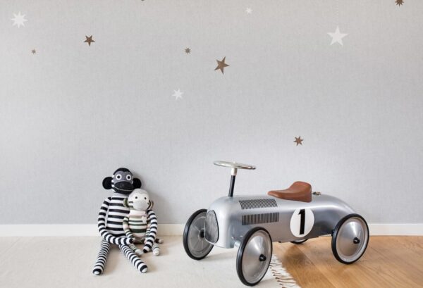 Rebel Walls pilttapeet Stargazing, Dusk R14572