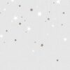 Rebel Walls pilttapeet Stargazing, Dusk R14572