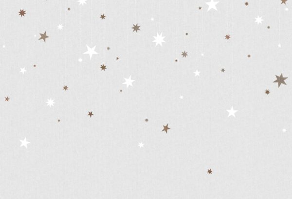 Rebel Walls pilttapeet Stargazing, Dusk R14572