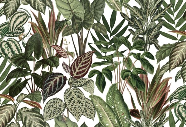 r14591_product Rebel Walls pilttapeet Mischievous Monkeys R14591