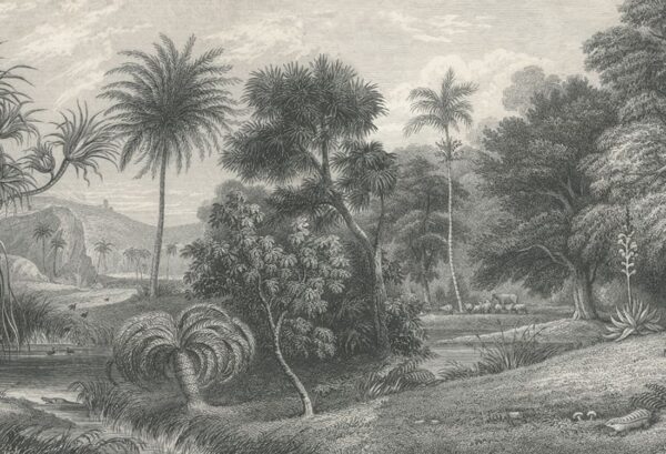 r14611_product Rebel Walls pilttapeet Jungle Land, Vintage R14611