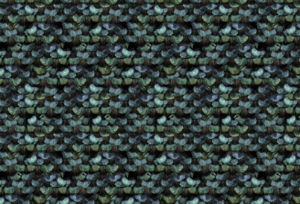 Rebel Walls pilttapeet Peacock Plumage R15091
