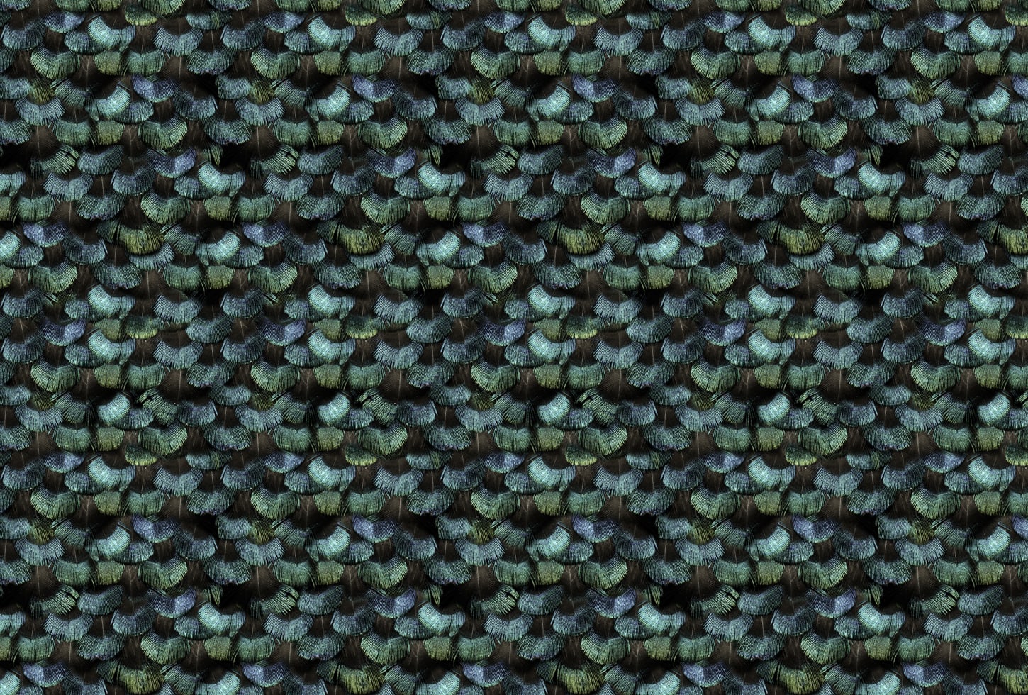 Rebel Walls pilttapeet Peacock Plumage R15091