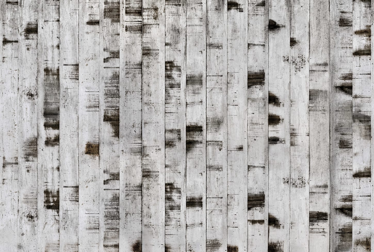 Rebel Walls pilttapeet Metal Birch R15221