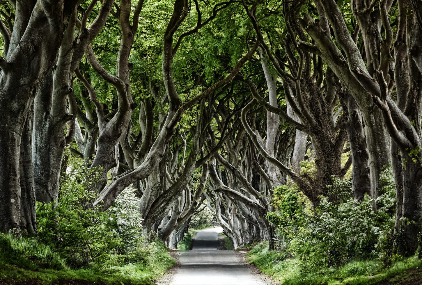 Rebel Walls pilttapeet Magical Alley R15251