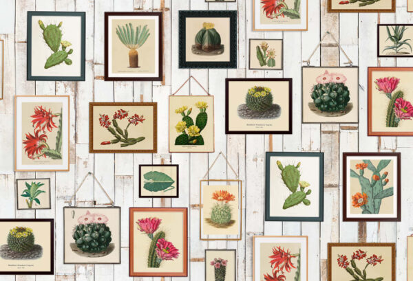 Rebel Walls pilttapeet Cactus Wall Art R15321