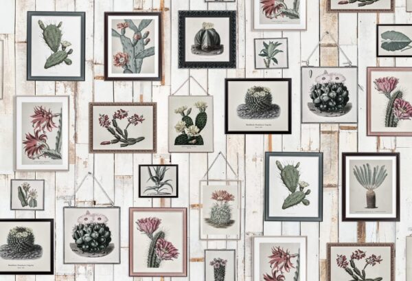Rebel Walls pilttapeet Cactus Wall Art, Faded R15322