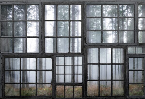 Rebel Walls pilttapeet Cabin R15341