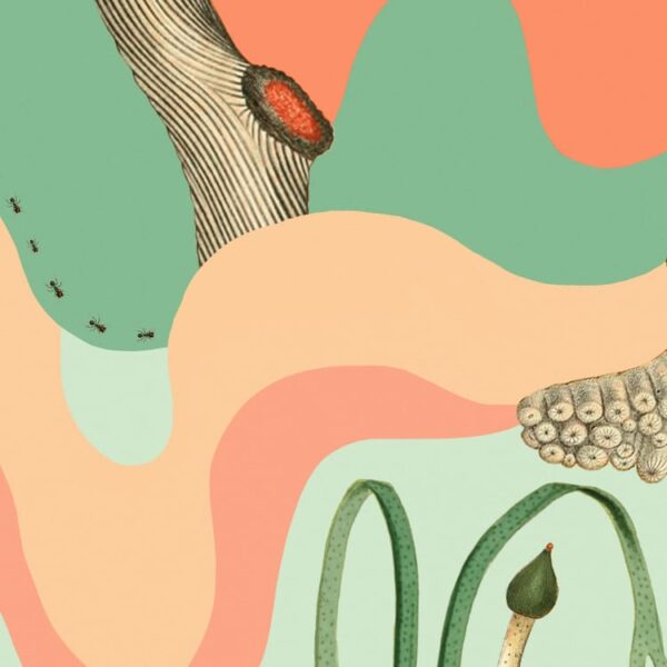 r16191_closeup1 Rebel Walls pilttapeet Seven Seas R16191