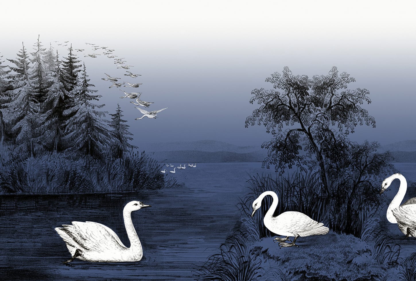 Rebel Walls pilttapeet Swan Lake, Nightfall R16222