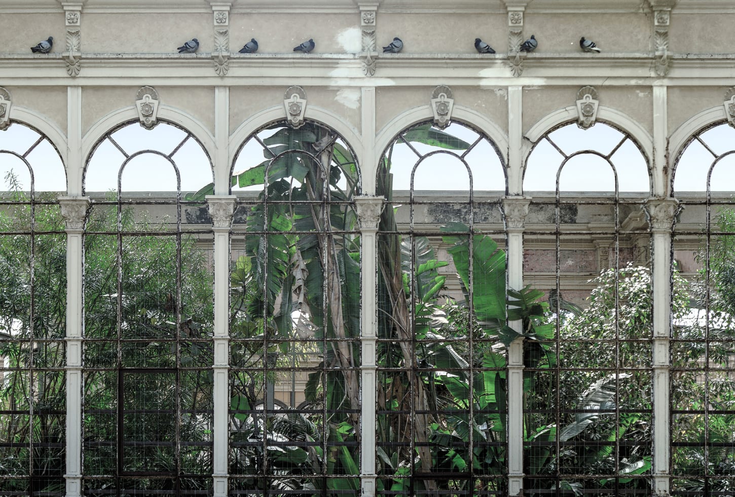 Rebel Walls pilttapeet Dove Gardens R16261