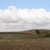 Rebel Walls pilttapeet Cropland R16481