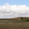 Rebel Walls pilttapeet Cropland R16481