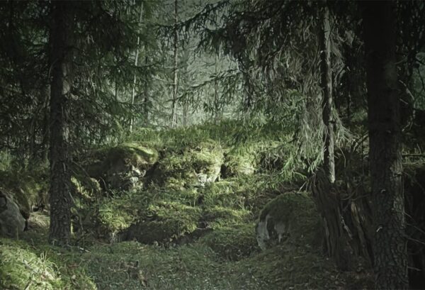 Rebel Walls pilttapeet Virgin Forest R16531