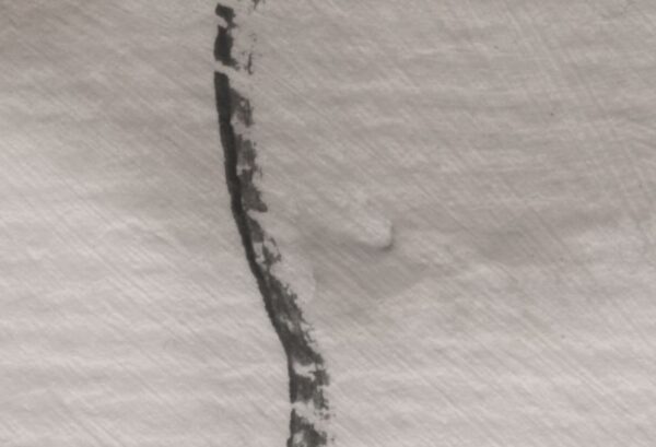 r17024_closeup1 Rebel Walls pilttapeet Asana, Sand R17024